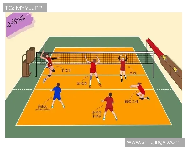 南京排球队进攻策略分析与战术创新探讨